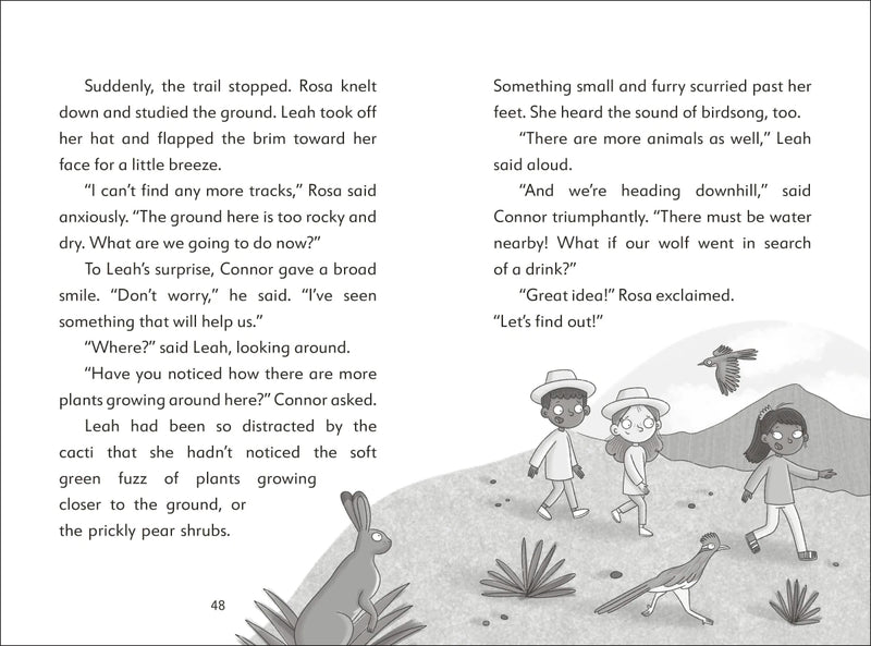 The Secret Explorers and the Desert Disappearance US - Paperback / softback