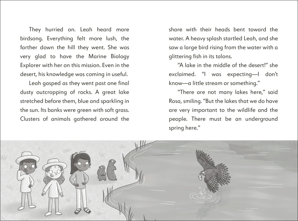The Secret Explorers and the Desert Disappearance US - Paperback / softback