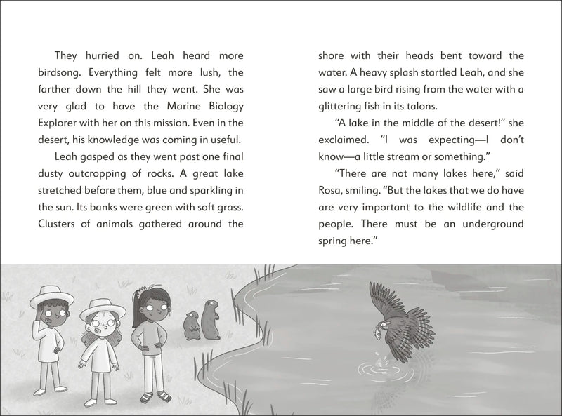 The Secret Explorers and the Desert Disappearance US - Paperback / softback