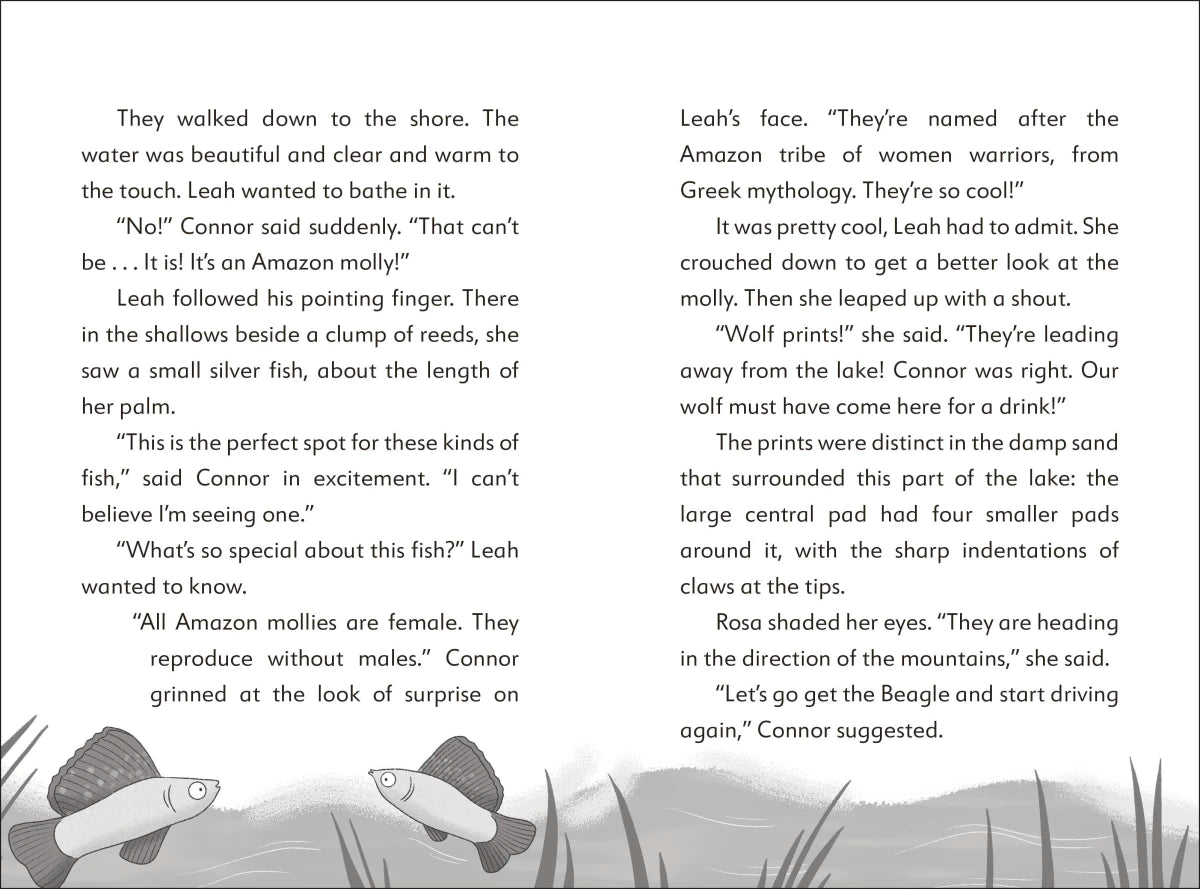 The Secret Explorers and the Desert Disappearance US - Paperback / softback