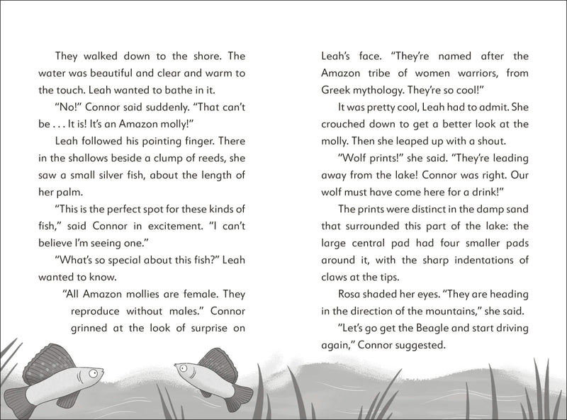 The Secret Explorers and the Desert Disappearance US - Paperback / softback