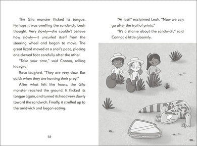 The Secret Explorers and the Desert Disappearance US - Paperback / softback