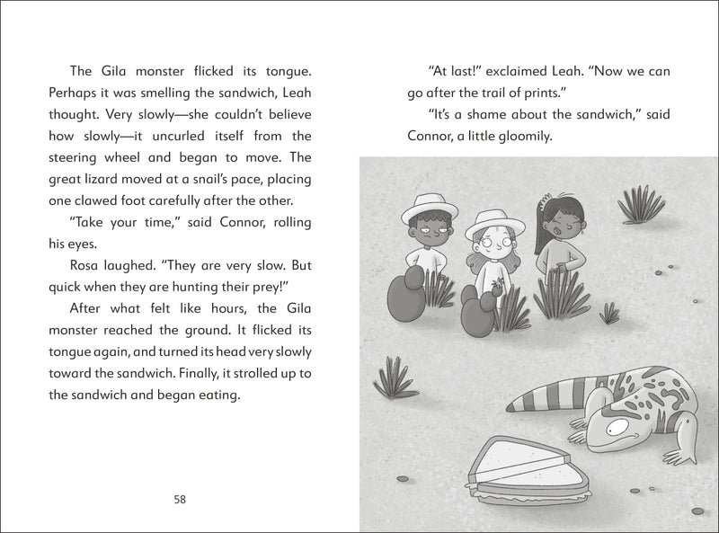 The Secret Explorers and the Desert Disappearance US - Paperback / softback