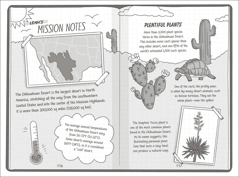 The Secret Explorers and the Desert Disappearance US - Paperback / softback