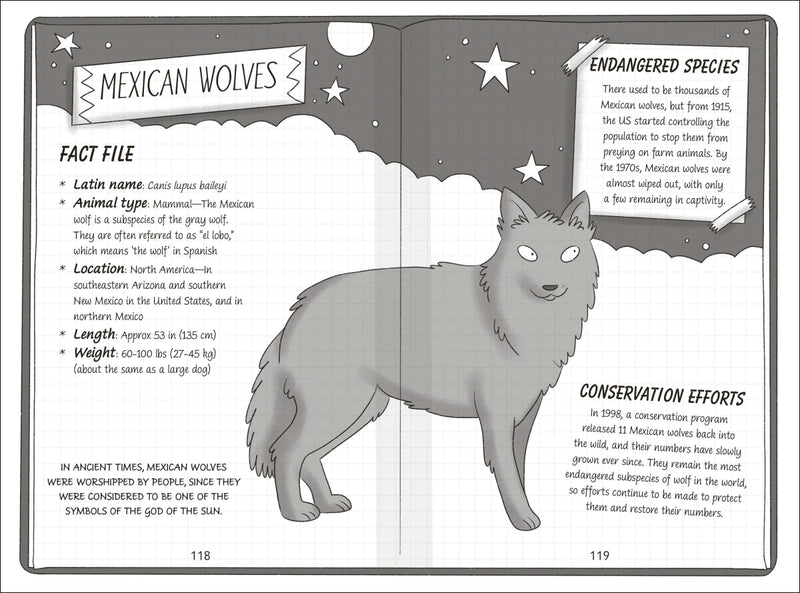 The Secret Explorers and the Desert Disappearance US - Paperback / softback