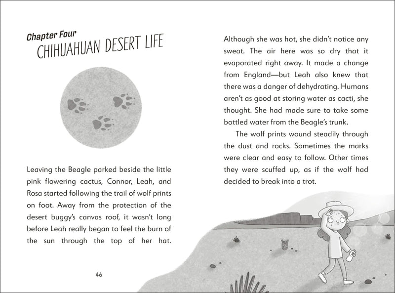 The Secret Explorers and the Desert Disappearance US - Paperback / softback