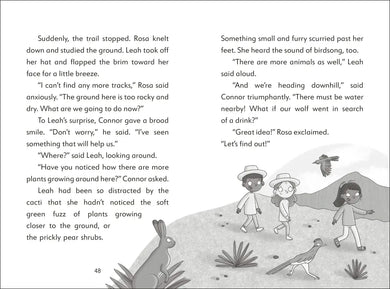 The Secret Explorers and the Desert Disappearance US - Hardback