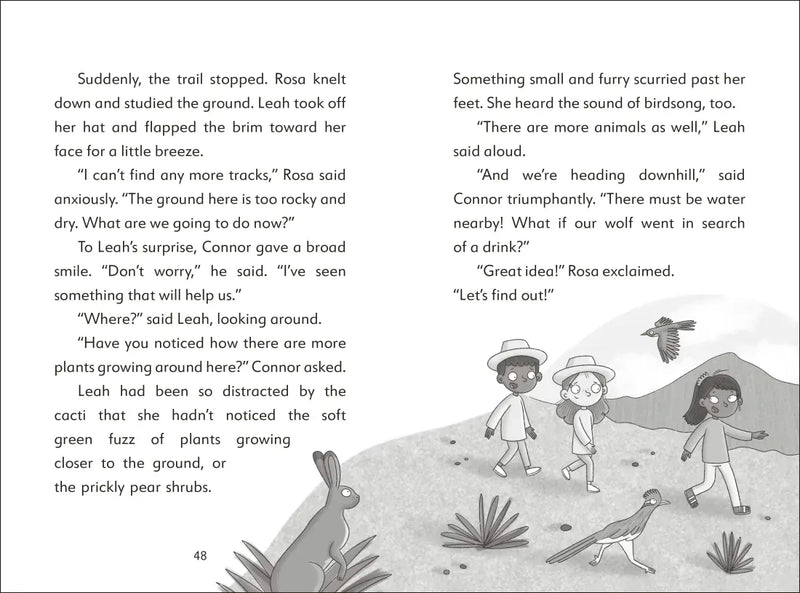 The Secret Explorers and the Desert Disappearance US - Hardback