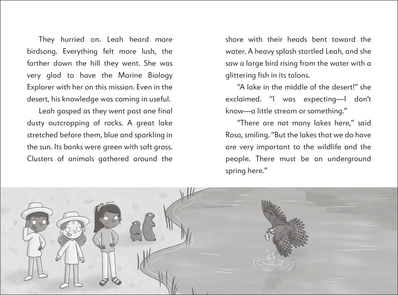 The Secret Explorers and the Desert Disappearance US - Hardback