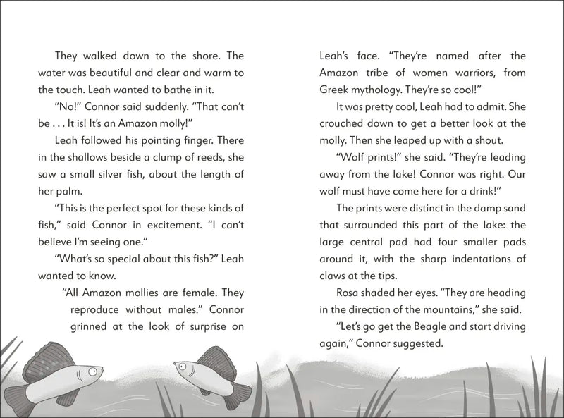 The Secret Explorers and the Desert Disappearance US - Hardback