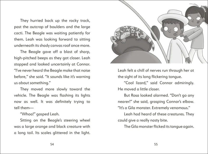 The Secret Explorers and the Desert Disappearance US - Hardback