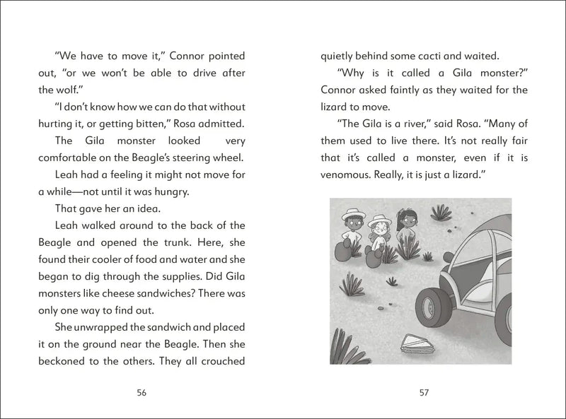 The Secret Explorers and the Desert Disappearance US - Hardback