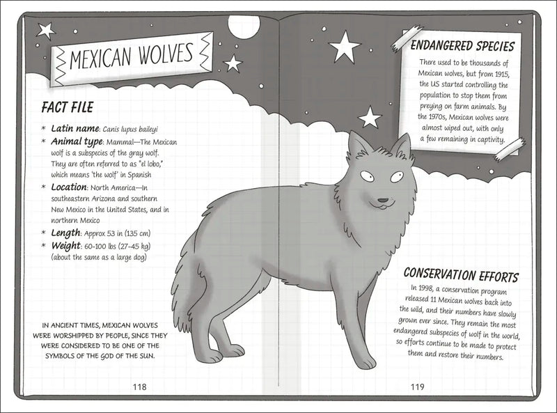 The Secret Explorers and the Desert Disappearance US - Hardback