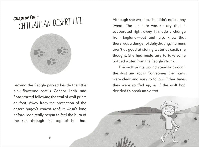 The Secret Explorers and the Desert Disappearance US - Hardback