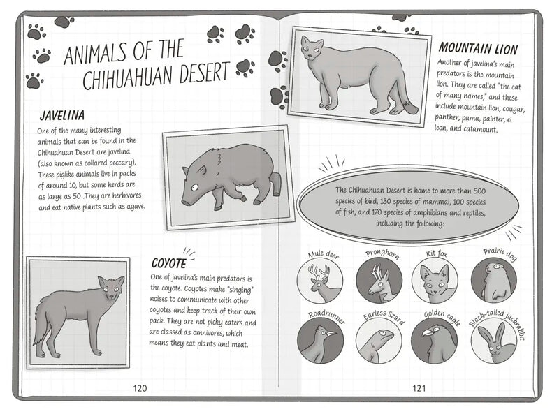 The Secret Explorers and the Desert Disappearance US - Hardback