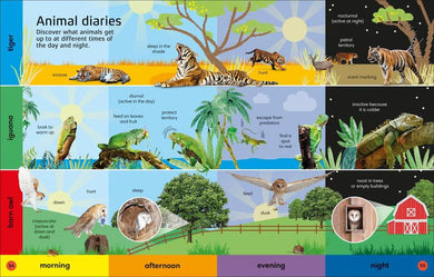 1000 Animal Words US - Hardback