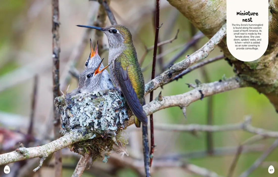 The Egg Book US - Hardback