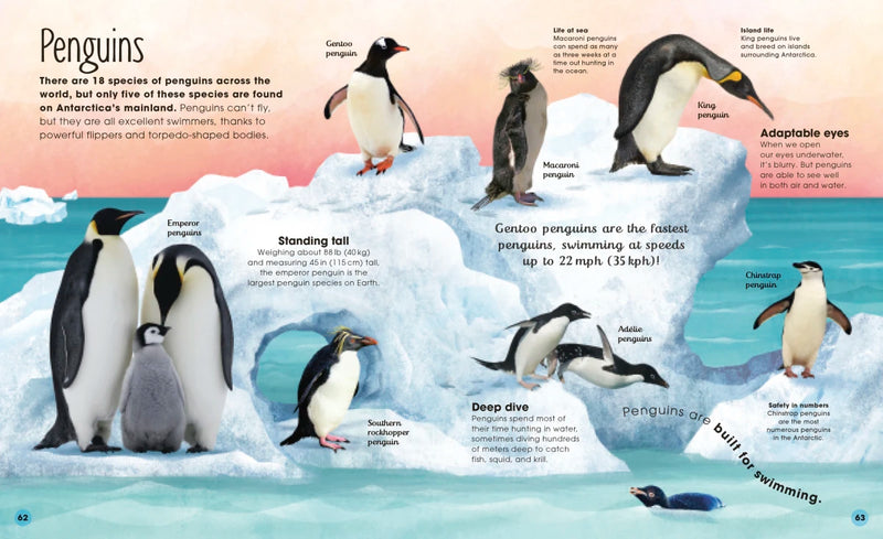 The Frozen Worlds US - Hardback