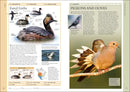 Birds of Eastern Canada US - Book