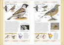Birds of Eastern Canada US - Book