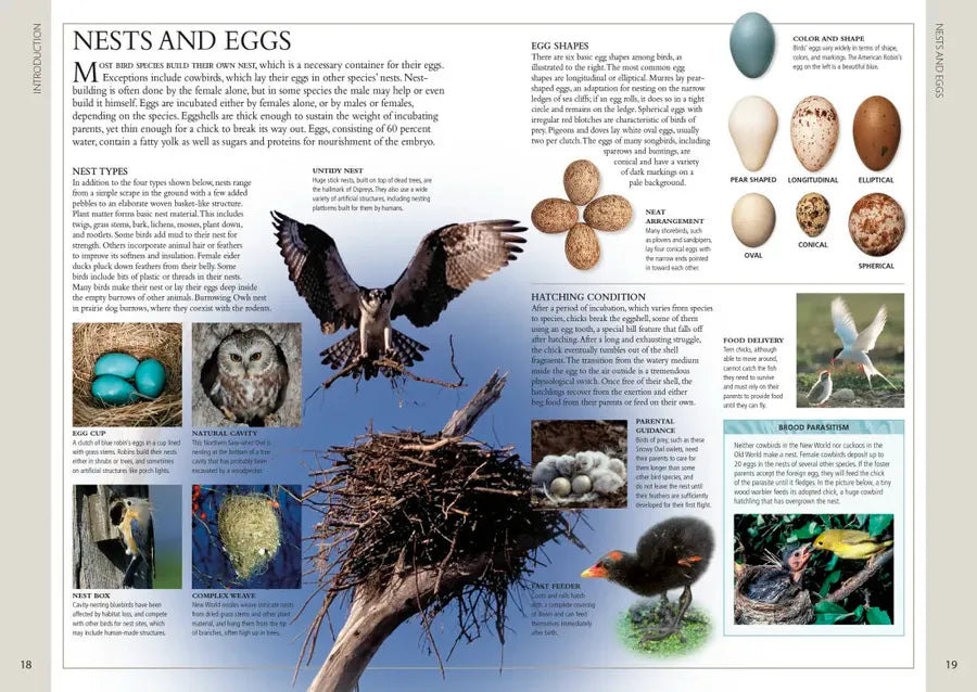Birds of Western Canada US - Book