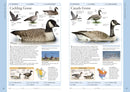 Birds of Western Canada US - Book