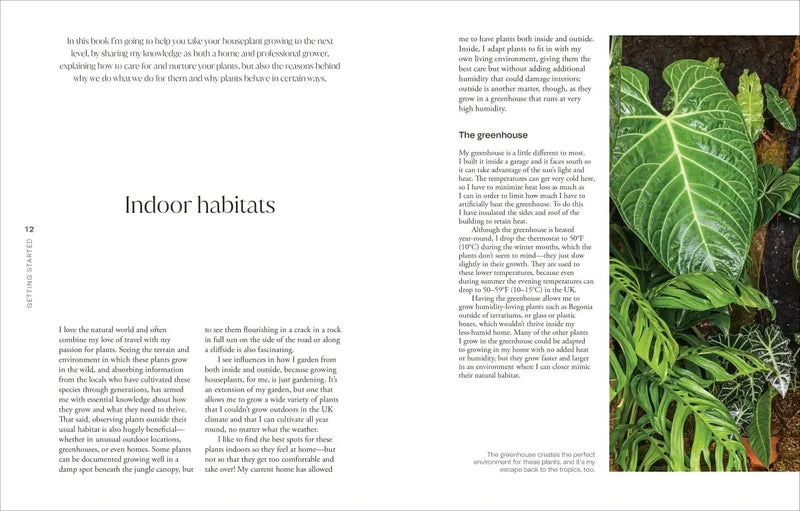 Not Another Jungle US - Hardback