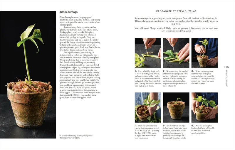 Not Another Jungle US - Hardback