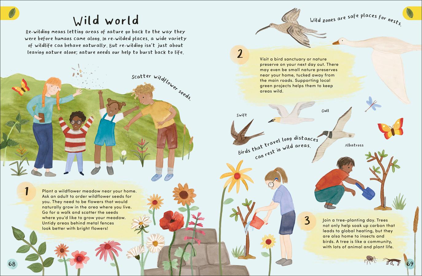 My First Garden US - Hardback