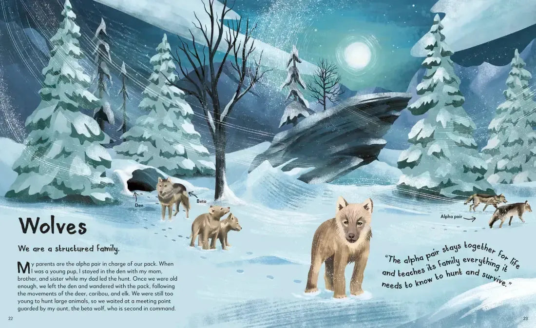My Animal Family US - Hardback