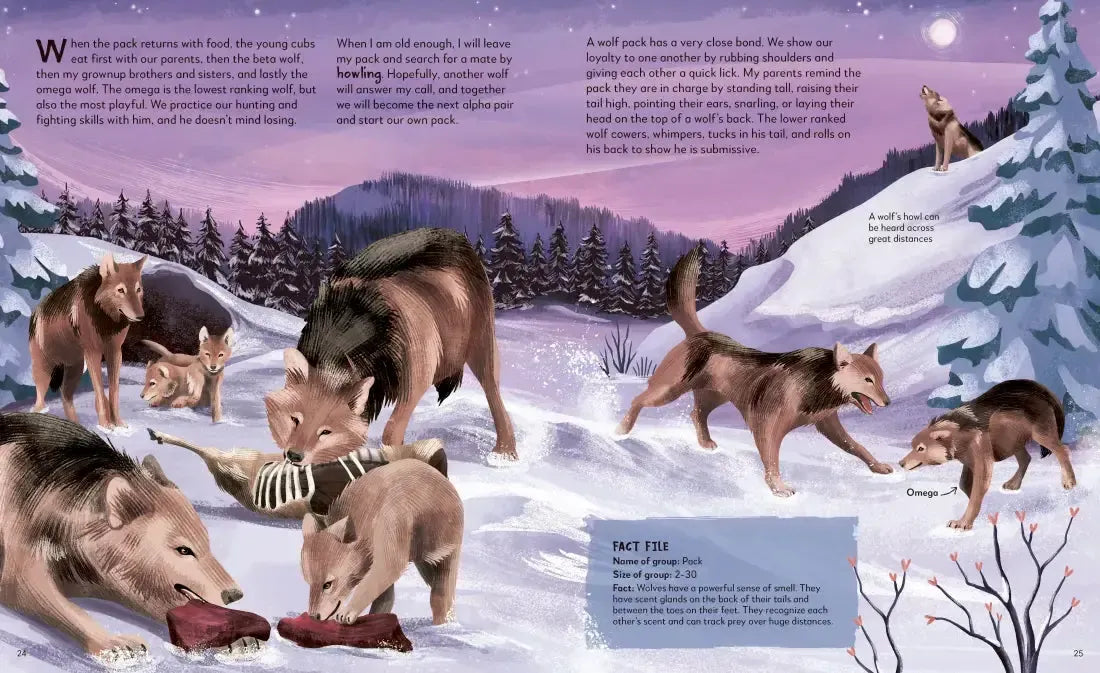 My Animal Family US - Hardback