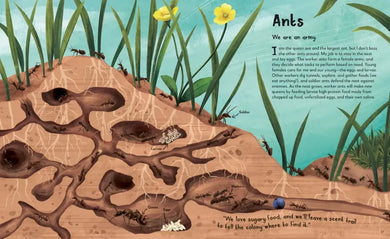 My Animal Family US - Hardback