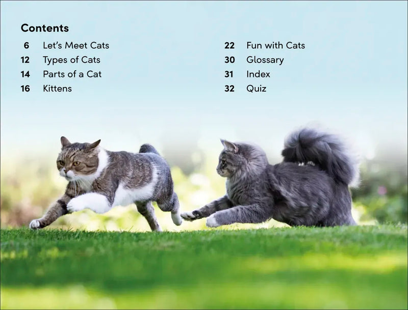 DK Super Readers Level 2 Cats and Kittens US - Hardback