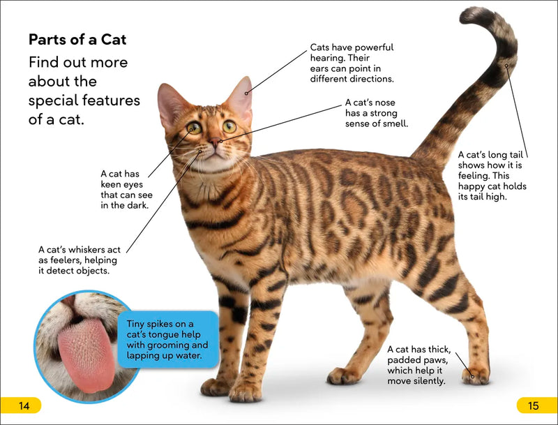 DK Super Readers Level 2 Cats and Kittens US - Paperback / softback