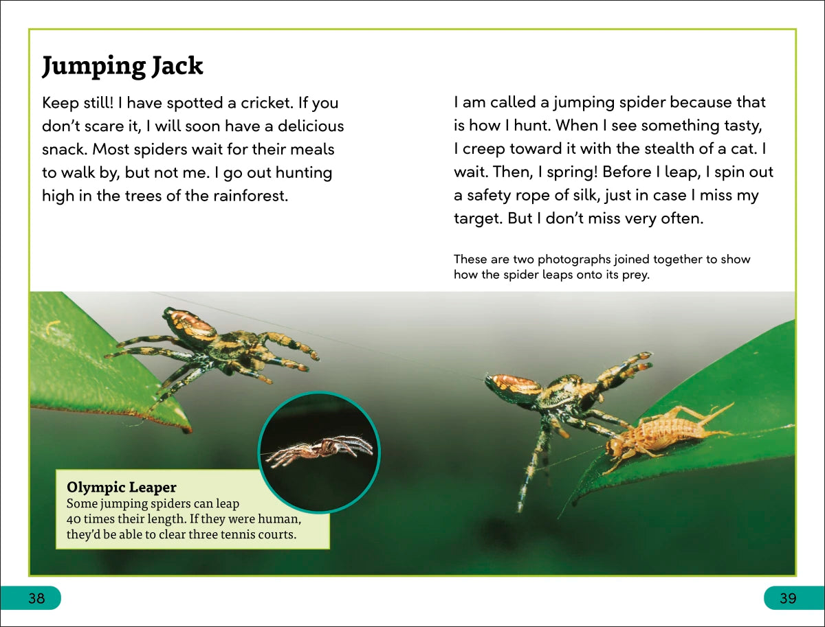 DK Super Readers Level 3 Spiders' Secrets US - Hardback