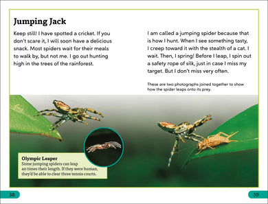 DK Super Readers Level 3 Spiders' Secrets US - Hardback
