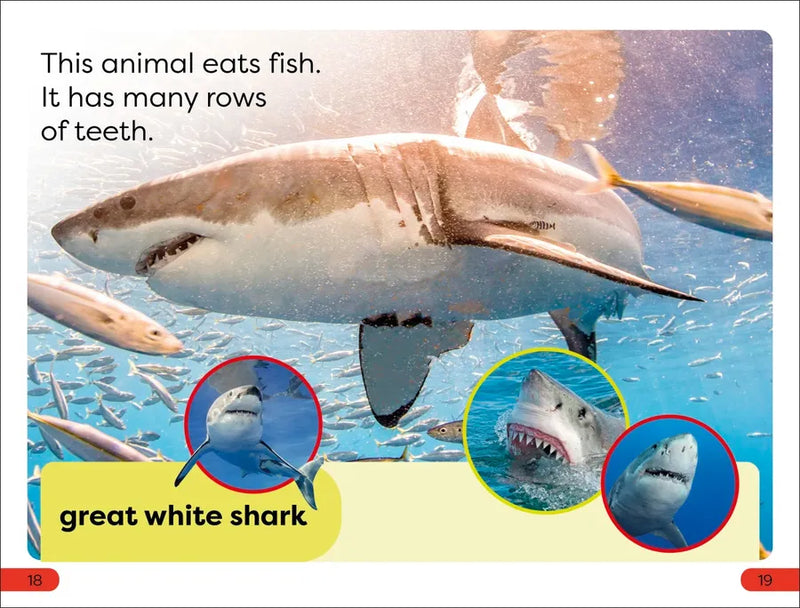 DK Super Readers Pre-Level Chomp! Big Teeth US - Hardback