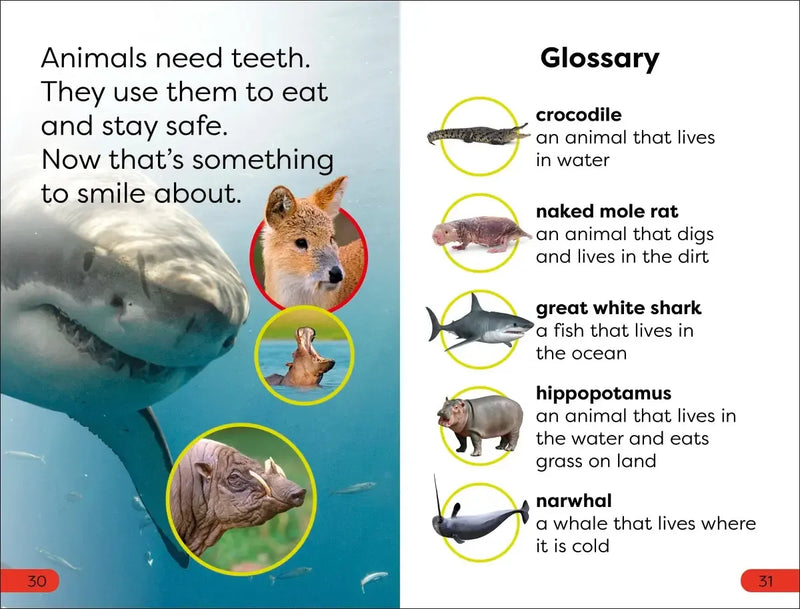 DK Super Readers Pre-Level Chomp! Big Teeth US - Hardback