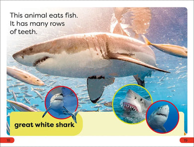 DK Super Readers Pre-Level Chomp! Big Teeth US - Paperback / softback