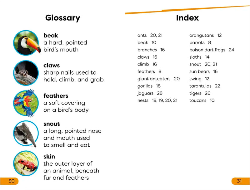 DK Super Readers Level 1 Jungle Animals US - Paperback / softback