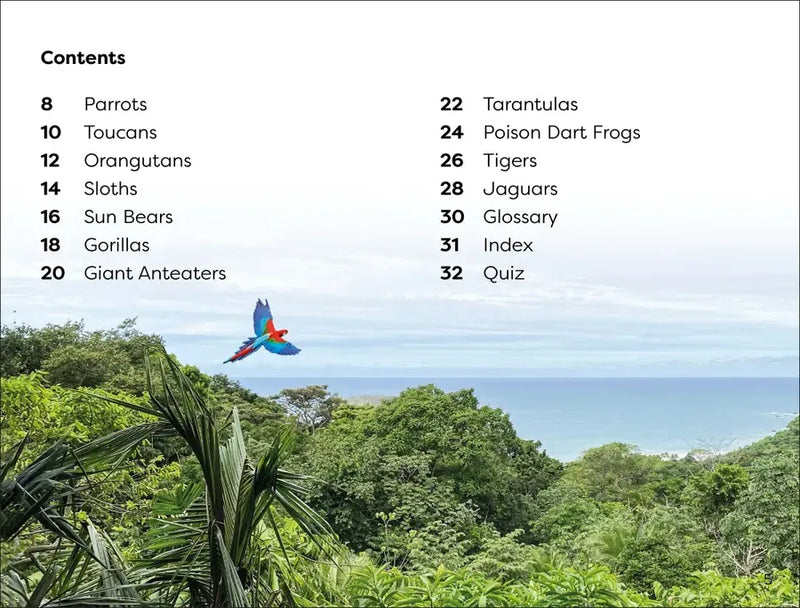 DK Super Readers Level 1 Jungle Animals US - Paperback / softback