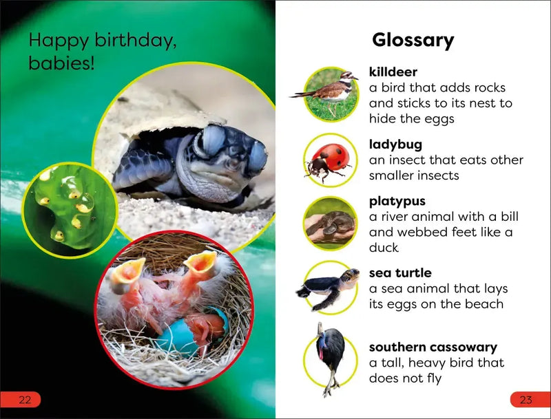 DK Super Readers Pre-Level What Starts in an Egg? US - Hardback