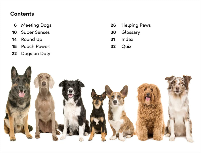 DK Super Readers Level 2 Amazing Dogs US - Hardback