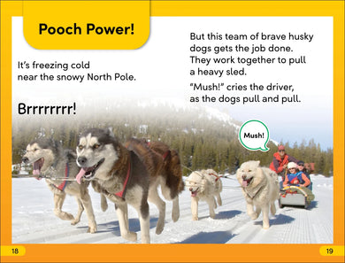 DK Super Readers Level 2 Amazing Dogs US - Paperback / softback