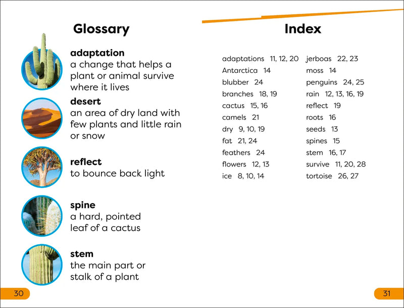 DK Super Readers Level 1 Desert Plants and Animals US - Hardback
