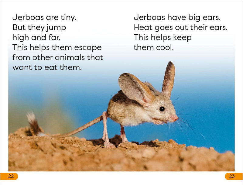 DK Super Readers Level 1 Desert Plants and Animals US - Paperback / softback