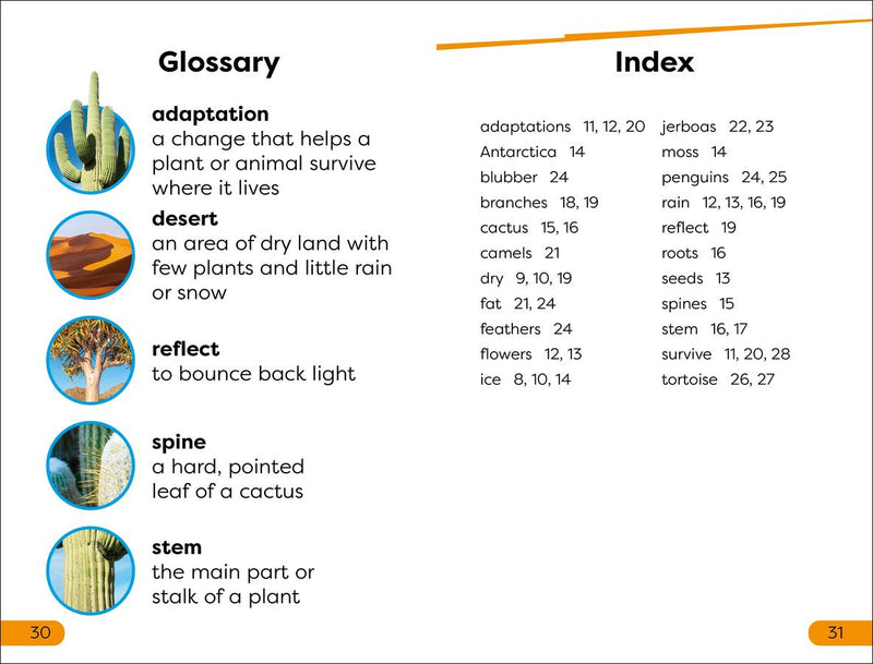 DK Super Readers Level 1 Desert Plants and Animals US - Paperback / softback