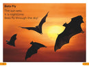 DK Super Readers Level 1 All About Bats US - Paperback / softback