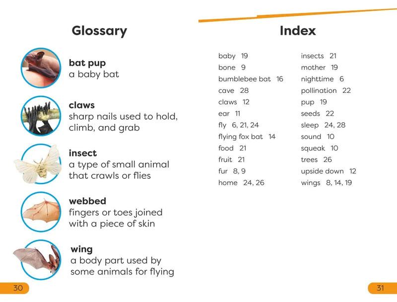 DK Super Readers Level 1 All About Bats US - Paperback / softback