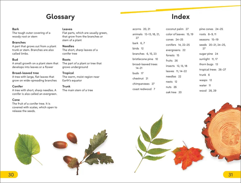 DK Super Readers Level 2 The Secret Life of Trees US - Paperback / softback
